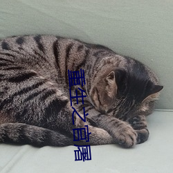 BG大游(中国)唯一官方网站