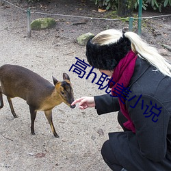 高h耽美小说