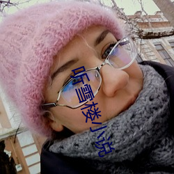 听雪楼小说