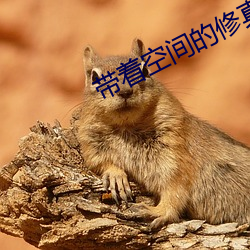 帶著空間的修真生活