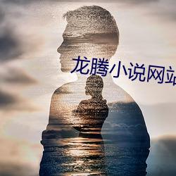 龙腾(téng)小说网站(zhàn)