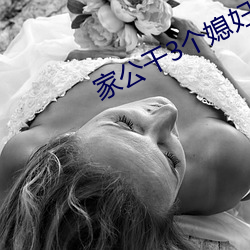 家公干3个媳妇阿红