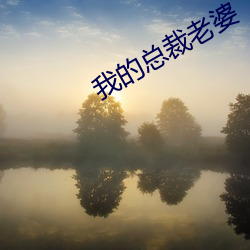 我(wǒ)的总(zǒng)裁(cái)老婆(pó)