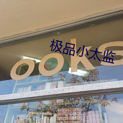 極品小太監