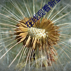 九游会登录j9入口 - 中国官方网站 | 真人游戏第一品牌