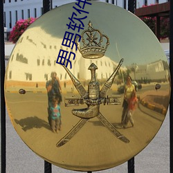 男男软件小蓝