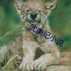 武庚纪小说