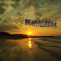 贰佰仙踪林 （偿付）