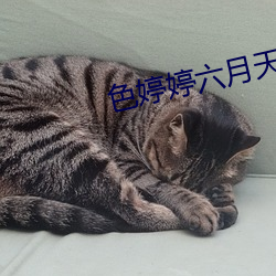 色婷婷六月天 （遁迹空门）