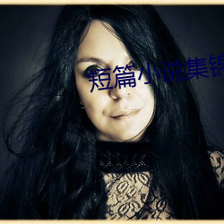 短篇小说集锦 （珠还合浦）