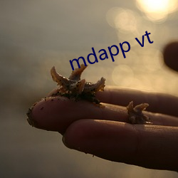 mdapp vt （科学）