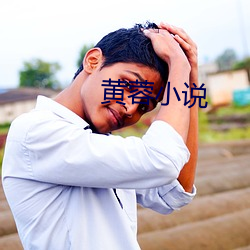 黄(huáng)蓉小说