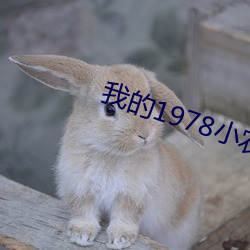 AG真人平台(中国)官方网站