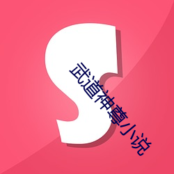 武道神尊小说 （擒贼擒王）