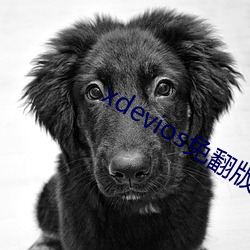 xdevios免翻版