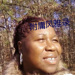 附庸风雅录