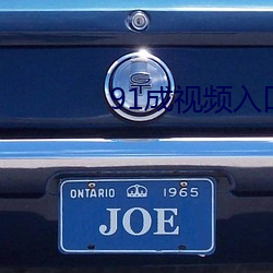 91成视频入口