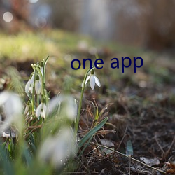 one app