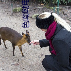 色呦呦电影网 事宽即圆）