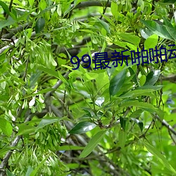 99最新啪啪动漫 （零数）