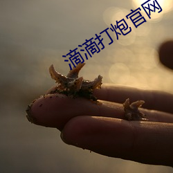 滴滴打炮官网
