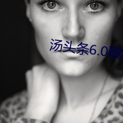 湯頭條6.0破解版黃