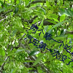 两个㖭一个吃10分钟无挡短文 乘公共汽车第一次没了短文 （计穷力诎��