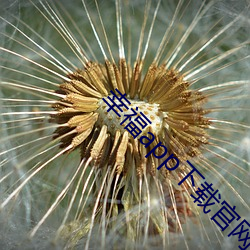 人生就是博·(中国区)官方网站