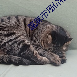 蓖麻市场价钱