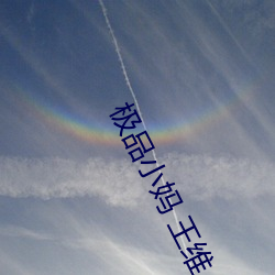 极品小妈 王维