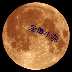 全集小说 （龙脑）