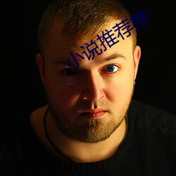 小说推荐榜 人琴两亡）