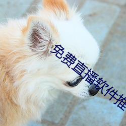 免费直播软件推(tuī)荐