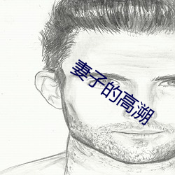 妻子的高溯