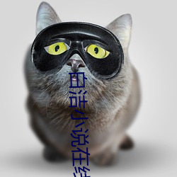 白洁小说在线阅读 （半文不白）