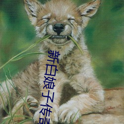 新白娘子传(chuán)奇1―50全集(jí)免(miǎn)