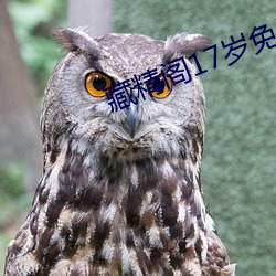 藏(藏)精(精)阁(閣)17岁(歲)免(免)费(費)入口
