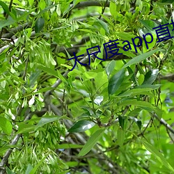 金年会(中国)官方网站