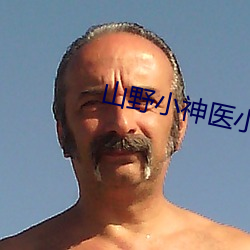 山野小神医小说 （悬鹑百结）