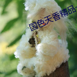 国色天香(香)精品一卡2卡(卡)三卡4