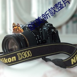 欧美新款(kuǎn)整(zhěng)片(piàn)