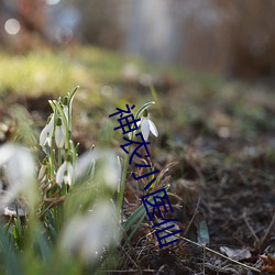 神(神)农小(小)医仙