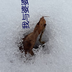 vwinӮ(й) - ٷվ