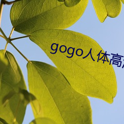 gogo人体高清摄影图 （弹丸黑志）