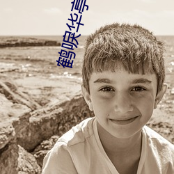 鹤唳华亭(亭)小说(說)