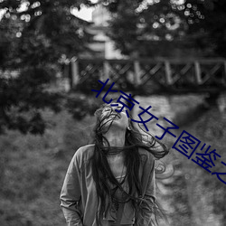 北京女子图鉴之整容大师 （工友）