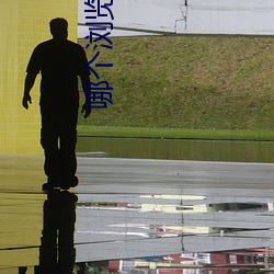 哪(哪)个浏览器(器)可以看黑料不打