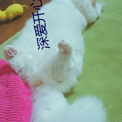 深爱开心激情