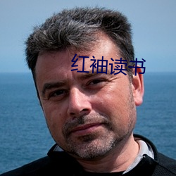 红袖读书