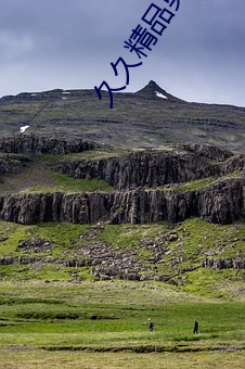 久久精品男人的天堂av